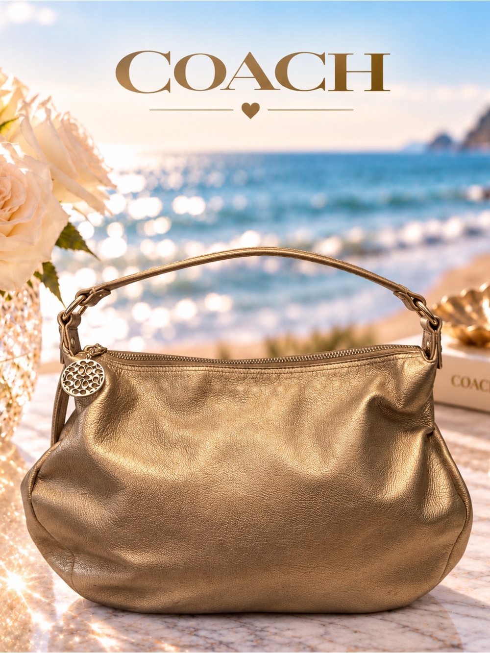 Coach Allie Leather Hobo Shoulder bag